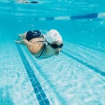 Swimming Pool Benefits